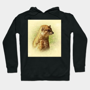 Yellow mongoose portrait Hoodie